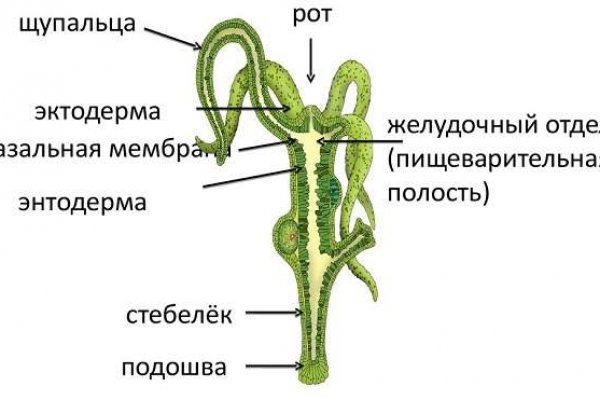 Как залить фото на блэкспрут с телефона